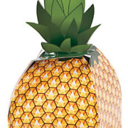 Square Pineapple Favor Box