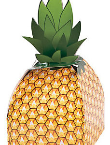 Square Pineapple Favor Box