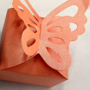 Square Plumeria Favor Box